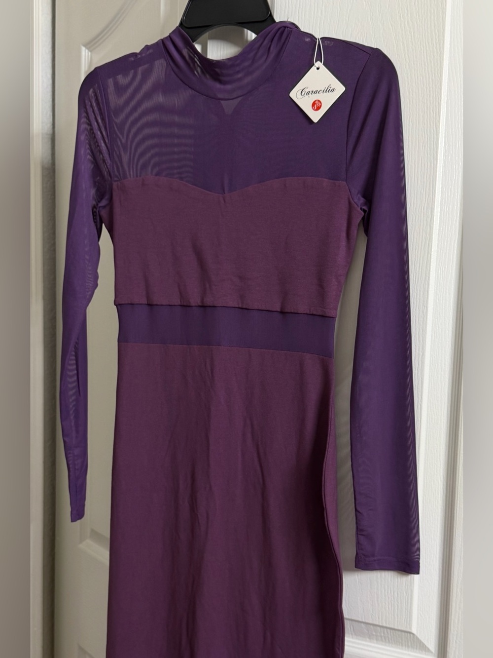 Amazon Purple Long Sleeve Bodycon Dress
